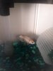 20170310_135946.jpg