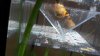 IMG-20170416-WA0005.jpeg