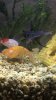 IMG-20170426-WA0008.jpg