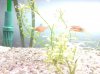 IMG_20170517_203042.jpg