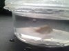 20170617_160537.jpg