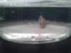 20170617_160607.jpg