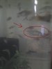 20170617_151454.jpg