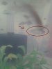 20170617_151633.jpg