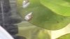 20170622_113713.jpg