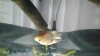 20170930_145449.jpg