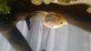 20170930_145440.jpg
