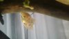 20170930_145049.jpg
