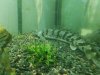 IMG-20171010-WA0021.jpg