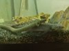 IMG-20171010-WA0019.jpg
