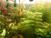 acuario3.jpg