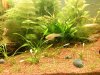 acuario5.jpg