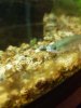 20171114_210747-min-iloveimg-compressed.jpg
