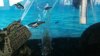rps20171229_111406.jpg