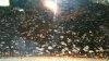 rps20180104_135953.jpg