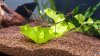 IMG-20180125-WA0032.jpg