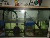 IMG-20180131-WA0006.jpg