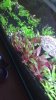 IMG_20180201_112635001.jpg
