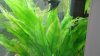 IMG-20180203-WA0024.jpg