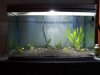 IMG-20180203-WA0022.jpg
