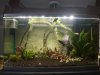 IMG-20180203-WA0023.jpg