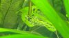 IMG-20180203-WA0016.jpg