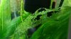 IMG-20180203-WA0018.jpg