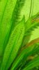 IMG-20180203-WA0019.jpg