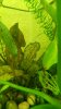 IMG-20180203-WA0011.jpg