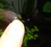 IMG-20180204-WA0007.jpg