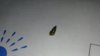 IMG-20180203-WA0014.jpg