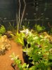IMG-20180206-WA0000.jpg