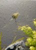 IMG_20180227_111424_749~3.jpg