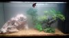 20180302_170750-compressed.jpg
