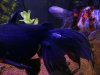 IMG-20180308-WA0011.jpg