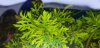 20180310_002113.jpg