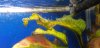 20180310_002308.jpg
