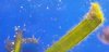 20180310_002405.jpg