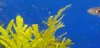 20180310_002553.jpg