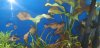 20180310_004859.jpg