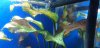 20180310_005214.jpg