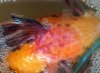 IMG_20180310_102917037~2.jpg