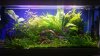 20171122_155203.jpg