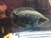IMG-20180311-WA0000.jpg