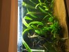 9A68163A-DBFA-4C35-BDF2-14FCB265E976.jpeg
