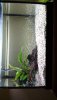 IMG-20180412-WA0111.jpeg