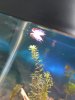IMG-20180517-WA0001.jpg