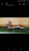 Screenshot_2018-05-24-15-25-52.png