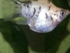 IMG-20180615-WA0015.jpg