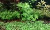 20180617_112246-compressed.jpg